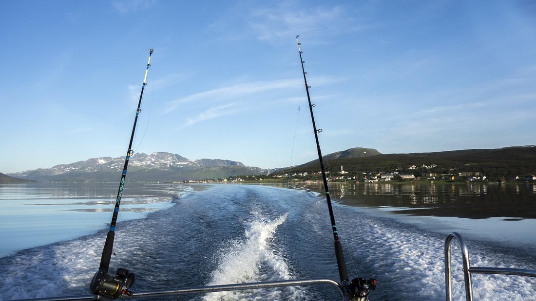 Hansnes Havfiske Exterior foto